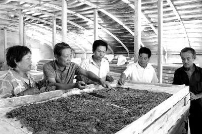 ahGP(gun)(zhn)B(yng)Qָ(do)Qr(nng)B(yng)Qrh